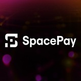 SpacePay Stellar