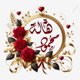 دورات د.هالة المجانيه وعروض الدورات المدفوعه