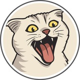 Sonya - The World's Famous Cat