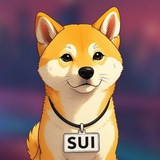 Sui, Riko mama's new Shiba! Cto
