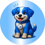 Klikdog | FIRST DOG ON KLIK