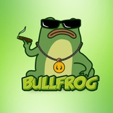 🐸🚀 BULLFROG 🐸🚀