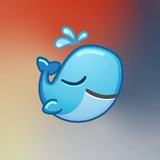 Whale Club