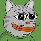 Cato The Cat Portal