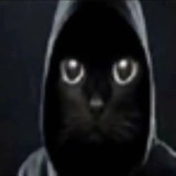 Бар Wammu
