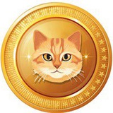 CAT TOKEN ON SOL PORTAL