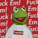 Kermit From Subway