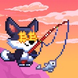 Fish Bit Announcements