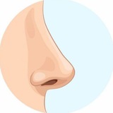 💎 لیفت بینی 💎