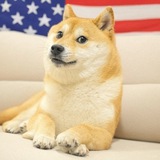 American Doge