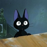 Ghibli Cat - Jiji