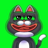 Pepe's Cat