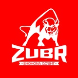 ZUBR(Shohona go’sht do’koni)