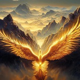 顶级 数据 股票 期货 币圈 棋牌 博彩 渗透 教育 海外全行业