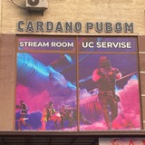 CARDANO UC INFO