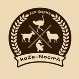 Территория отдыха коZа-NострА | Краснодар