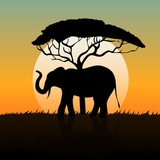 Дневник Слонов