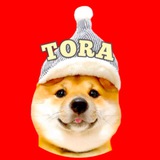 T.O.R.A. Chan OG cto portal
