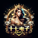十七电子娱乐群