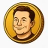 elonbirthdayonsol