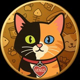 Venus the Two Face Cat