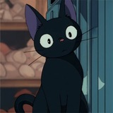 GHIBLI CAT