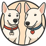 Biscuit - $JOY Portal