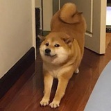 Ball Ball - Pochita’s Brother - Portal