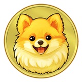 Boo 🦴 | A Happy Cute Pomeranian