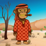 Crypto Sheikh $SHEIKH