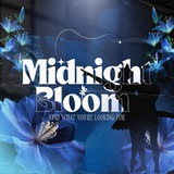 Midnight Bloom { HIRING TALENT }