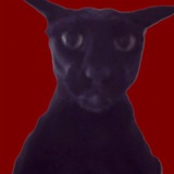 Evil Larry