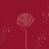 Myflowers_kavkaz | РОЗЫ | ЦВЕТЫ | ДОСТАВКА