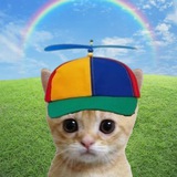 MEW ANNOUNCEMENTS