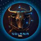 Solana BULL