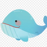 鲸鱼VPN🧧福利群
