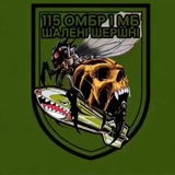 Шалені Шершні🇺🇦🐝
