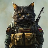 Кот в подсумке