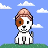 Hat Wif Dog $WIFDOG Community