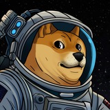 $DOGE-1 Portal