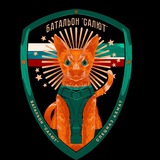 БТГр «Салют» СпН «Ахмат» МО РФ 🇷🇺