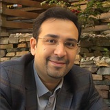 دکتر محمدرضا شاه محمدی