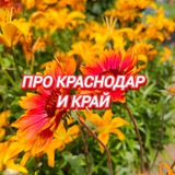 ПРО Краснодар и край