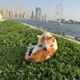 Розыгрыш Zone