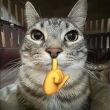 $ZAZU | Catwifsigma
