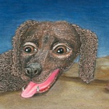 $BIGDOG - Big Dog by Matt Furie