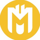 MEMELESS COIN