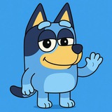 BLUEY ON SUI