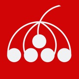 Рябина от Васта | Завидово