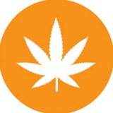 Weedcoin (Entry Portal)